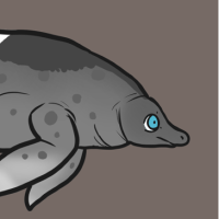 Thumbnail for ANI-3304: Perucetus (F)