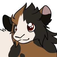 Thumbnail image for ANI-3305: Domestic Cavy (M)