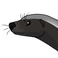 Thumbnail for ANI-3307: Velta