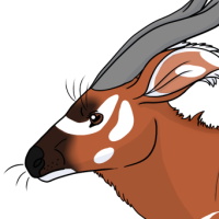 Thumbnail for ANI-3309: Lyra
