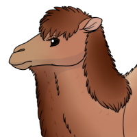 Thumbnail for ANI-3313: Jargal