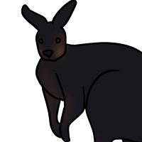 Thumbnail for ANI-3323: Black Wallaroo (M)