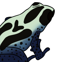 Thumbnail for ANI-3327: Poison Dart Frog (M)