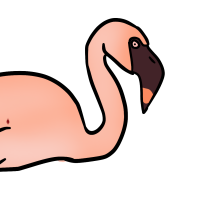 Thumbnail of ANI-3330: Lesser Flamingo (F)