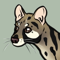 Thumbnail for ANI-3332: Common Genet (F)