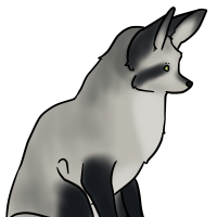 Thumbnail for ANI-3334: Bat-Eared Fox (F)