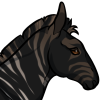 Thumbnail for ANI-3336: Quagga (F)