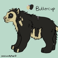 Thumbnail for ANI-3347: Buttercup