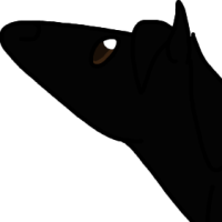 Thumbnail for ANI-3348: Midnight Honesty