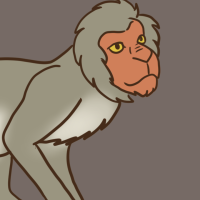 Thumbnail for ANI-3353: Japanese Macaque (M)