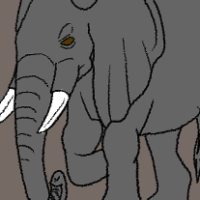 Thumbnail for ANI-3360: African Bush Elephant (F)