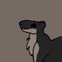 Thumbnail for ANI-3363: Black Giant Squirrel (M)
