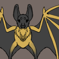 Thumbnail for ANI-3364: Straw-colored Fruit Bat (F)