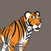 Thumbnail for ANI-3367: Sumatran Tiger (F)