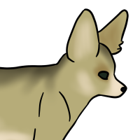 Thumbnail for ANI-3369: Fennec Fox (M)