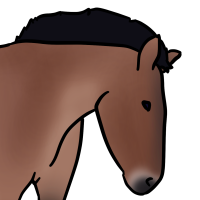 Thumbnail for ANI-3370: Przewalski's Horse (F)