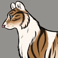 Thumbnail for ANI-3372: Piebald Siberian Tiger (M)