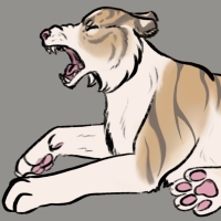Thumbnail for ANI-3373: Blue & Chocolate & Piebald Siberian Tiger (M)