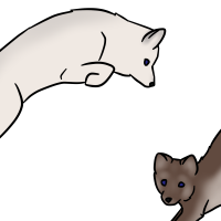 Thumbnail for ANI-3374: Arctic Fox (M)