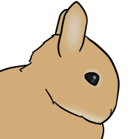 Thumbnail for ANI-3378: Domestic Rabbit Netherland Dwarf  (M)