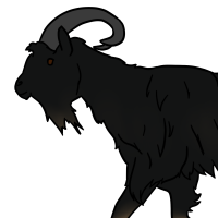 Thumbnail image for ANI-3379: Domestic Goat Mixed Breed  (M)