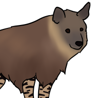Thumbnail image for ANI-3380: Brown Hyena (F)