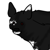 Thumbnail image for ANI-3381: Vitiligo Striped Hyena (F)