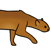Thumbnail image for ANI-3382: Jaguarundi (F)