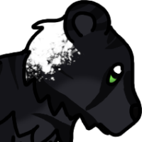Thumbnail for ANI-3390: Rowan