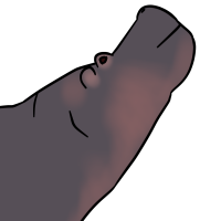 Thumbnail image for ANI-3395: Hippopotamus (M)