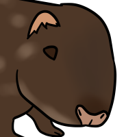 Thumbnail image for ANI-3396: Mountain Paca (M)