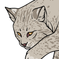 Thumbnail for ANI-3397: Blue & Chocolate Canada Lynx (M)