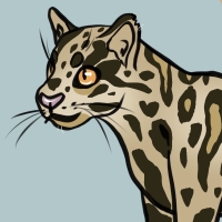 Thumbnail for ANI-3399: Ocelot (F)