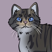 Thumbnail for ANI-3405: European Wildcat (M)