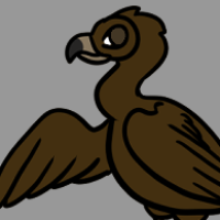 Thumbnail for ANI-3413: Cinereous Vulture (F)