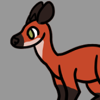 Thumbnail for ANI-3415: Red-flanked Duiker (M)