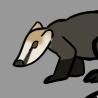 Thumbnail for ANI-3416: South American Coati (F)