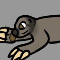 Thumbnail for ANI-3417: Pale Throated Sloth (F)
