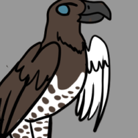 Thumbnail for ANI-3423: Martial Eagle (M)