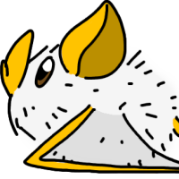Thumbnail for ANI-3431: Cotton