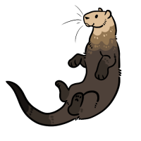 Thumbnail for ANI-3437: Sea Otter (M)