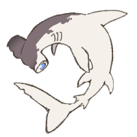 Thumbnail for ANI-3438: Scalloped Hammerhead (M)