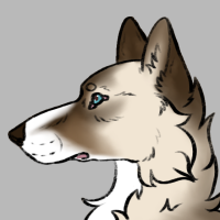 Thumbnail for ANI-3441: Chocolate & Piebald & Species-Specific Grey Wolf (M)