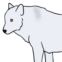 Thumbnail for ANI-3442: Arctic Wolf (M)