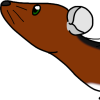 Thumbnail of ANI-3451: Smol