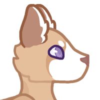 Thumbnail image for ANI-3435: Steamed Milk