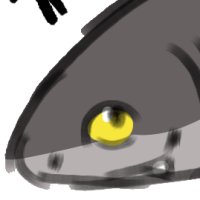 Thumbnail of ANI-3478: Trout