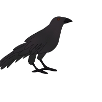 Thumbnail for ANI-3518: Hawaiian Crow (F)