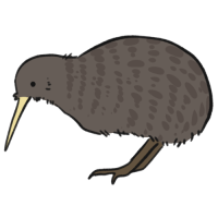 Thumbnail for ANI-3536: Greater Spotted Kiwi (F)