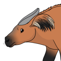 Thumbnail for ANI-3554: Kinoko